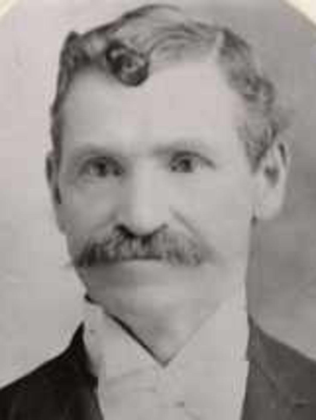 David Jenkins (1840 - 1925) Profile